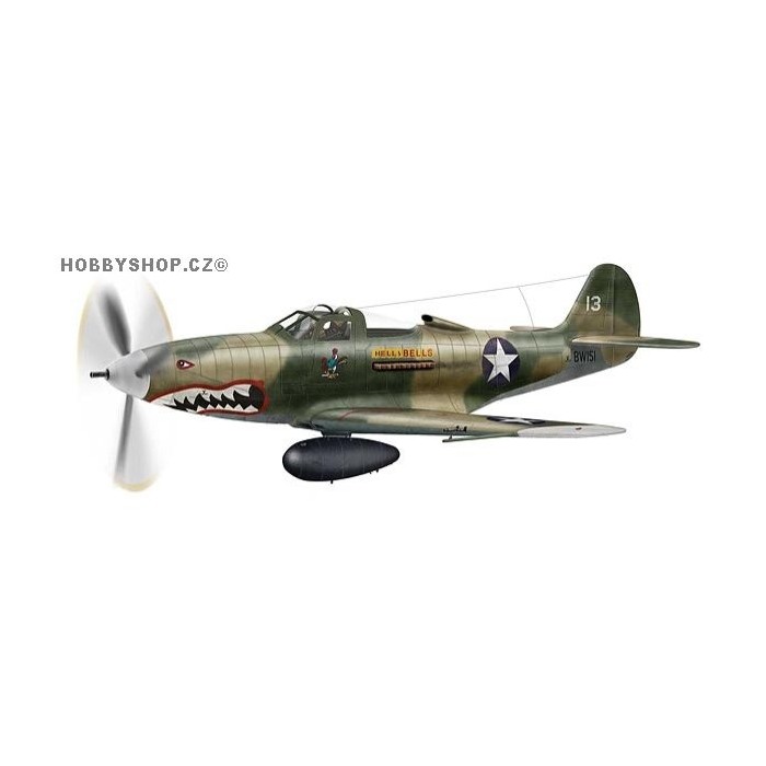 Bell P-39D/Q Airacobra - 1/48 kit