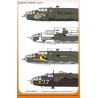 B-25 Mitchell In the Russian Sky - 1/48 decal