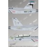 EA-18G Growler VAQ-135 Black Ravens US NAVY - 1/48 decal