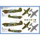 Curtiss P-40E Aces - 1/72 kit