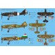 Reggiane Re.2006 - 1/72 kit