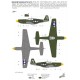 P-51A / F-6A Mustang - 1/72 kit