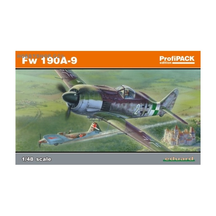 Fw 190A-9 - 1/48 kit