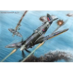 Spitfire F Mk.21 No.91 Squadron WWII - 1/72 kit