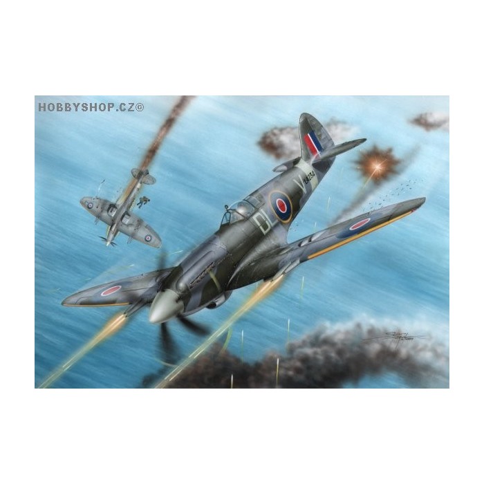 Spitfire F Mk.21 No.91 Squadron WWII - 1/72 kit