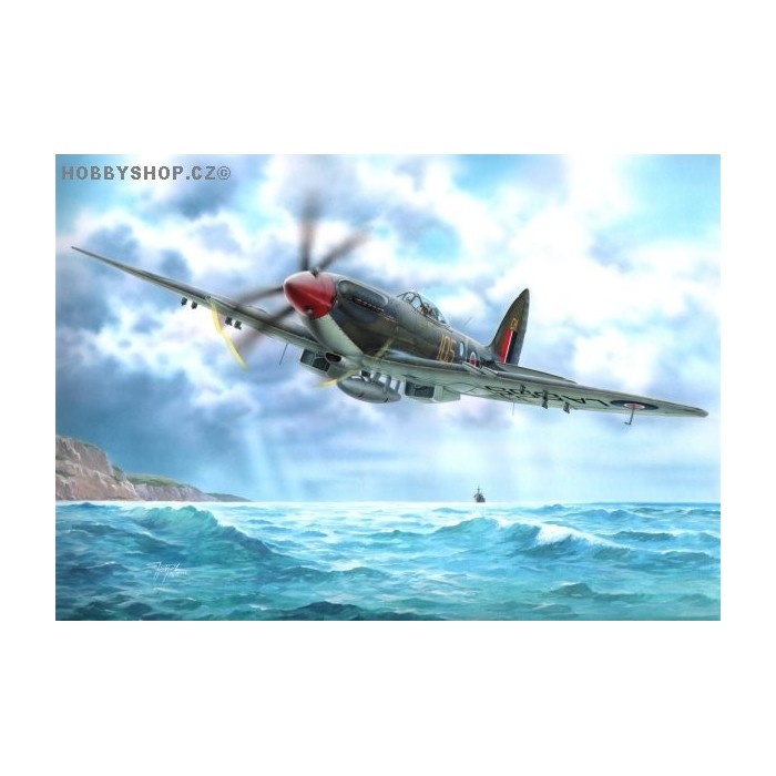 Seafire Mk.46 - 1/72 kit