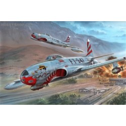 F-80C Shooting Star Over Korea - 1/32 kit