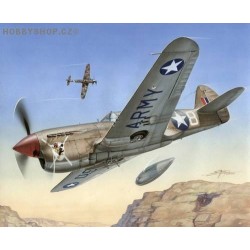 P-40F Warhawk Short tails over Africa - 1/72 kit