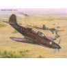 P-39N/Q Soviet Quard Regiments - 1/32 kit