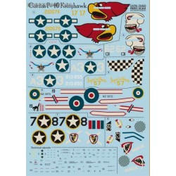 Curtiss P-40 Kittyhawk - 1/72 decal