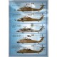 Family of 'Hawks' of Sikorsky - 1/72 decal