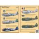 P-47 Thunderbolt Part 2 - 1/72 decal