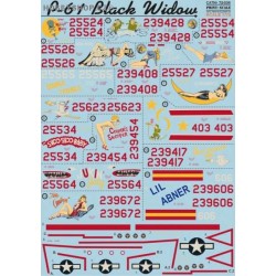 P-61 Black Widow - 1/72 decal