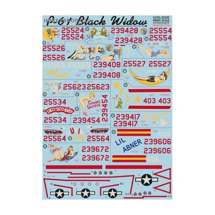 P-61 Black Widow - 1/72 decal
