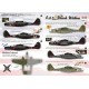 P-61 Black Widow - 1/72 decal