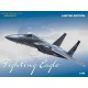 Fighting Eagle - 1/48 kit
