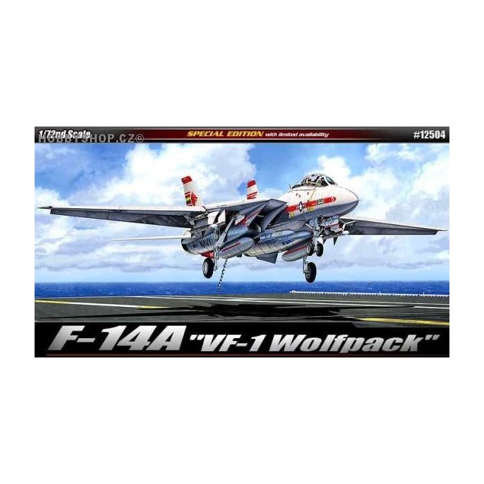 F-14A Tomcat VF-1 Wolfpack - 1/72 kit