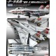 F-14A Tomcat VF-1 Wolfpack - 1/72 kit