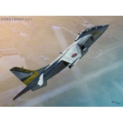 Harrier T Mk.4/4N - 1/72 kit