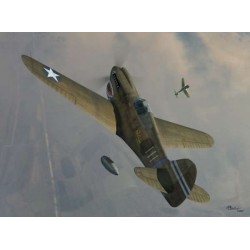 Curtiss P-40K Warhawk 2 in 1 - 1/72 kit