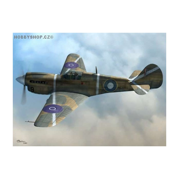 Curtiss P-40K-10/15 Warhawk long tail - 1/72 kit