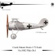 Pfalz Dr.I - 1/72 resin kit