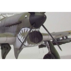 Air intake mesh for Typhoon - 1/48 PE set