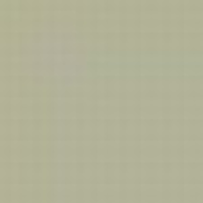 Light grey RAL7040