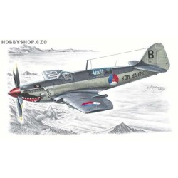 Fairey Firefly Mk.IV/V Foreign Service - 1/48 kit