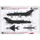 MiG-21F-13 Fishbed C CSAF - 1/48 decal