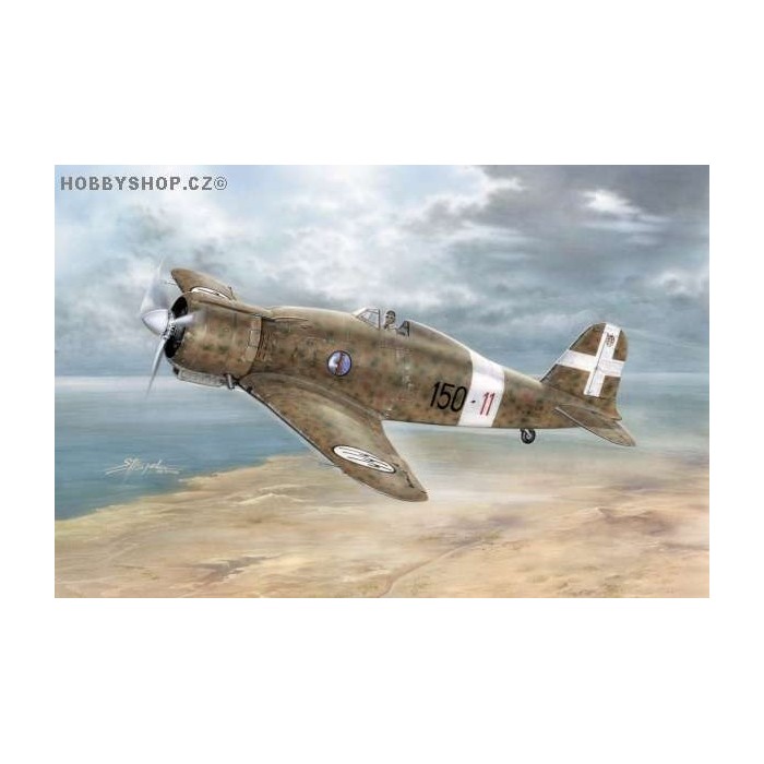 Fiat G.50bis Freccia Regia Aeronautica - 1/32 kit