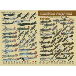 Operation Fall Grün - 1/72 decal