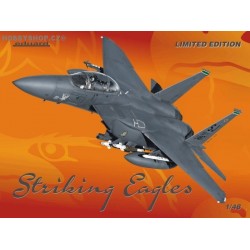 Strike Eagle - 1/48 kit