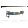 Bristol M1C - 1/72 resin kit