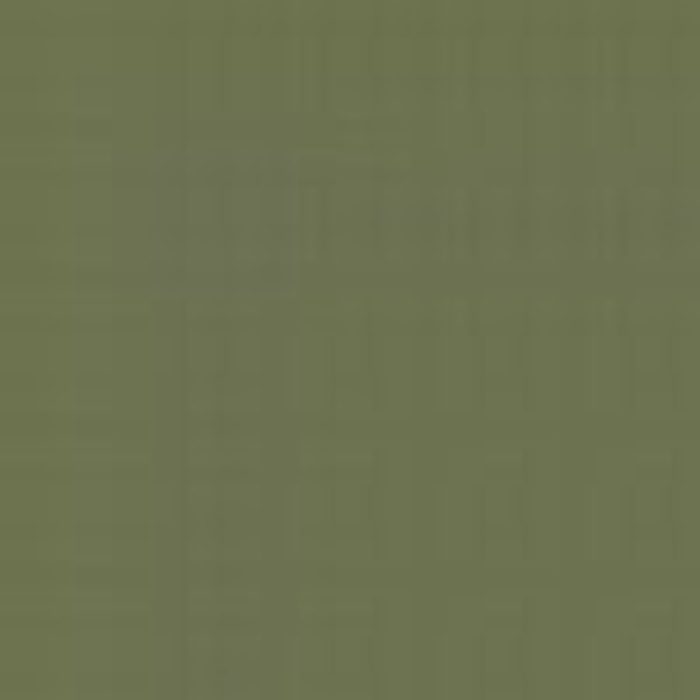 Mottle Green / Verde mimetico 1
