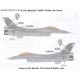 F-16C 'Tigers 4060' - 1/72 decals