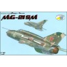 MiG-21SM - 1/72 kit