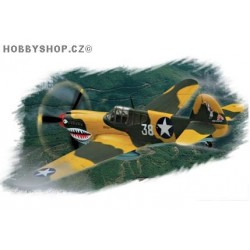 P-40E Kittyhawk - 1/72 kit