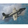 EF-10B/F3D-2T2 Skyknight - 1/72 kit