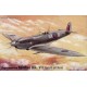 Supermarine Spitfire Mk.VII Spirit of Kent - 1/72 kit