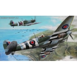 Supermarine Spitfire Mk.IX Beer Barrel - 1/72 kit