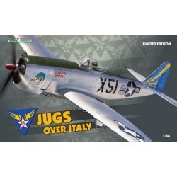 Jugs over Italy Limited Edition - 1/48 kit