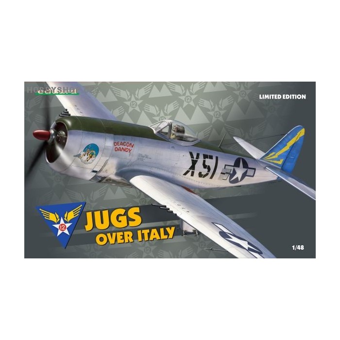 Jugs over Italy Limited Edition - 1/48 kit