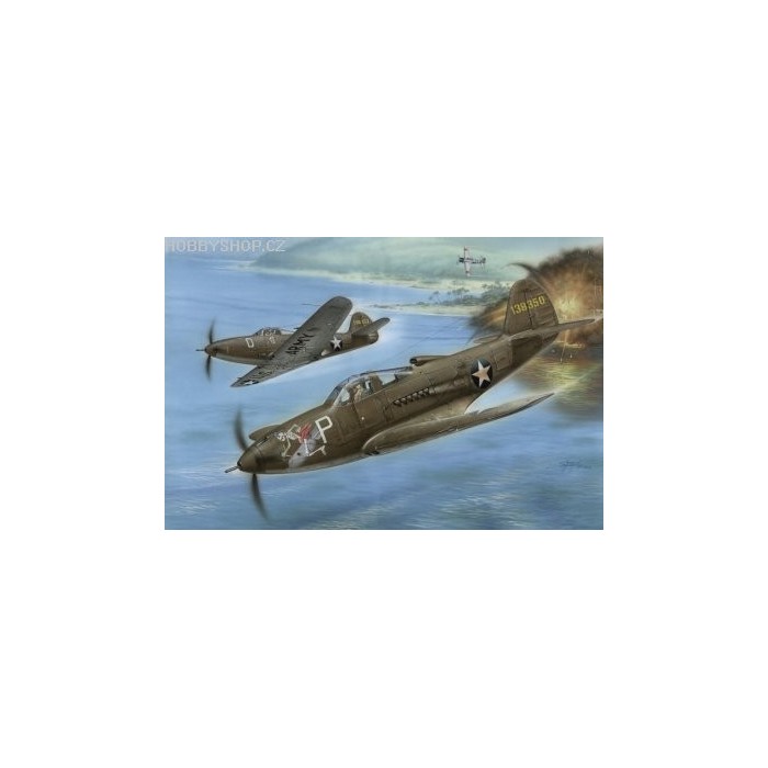 P-39D Aircobra - 1/32 kit