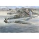 B. Skua Mk.II Norwegian Campaign - 1/48 kit