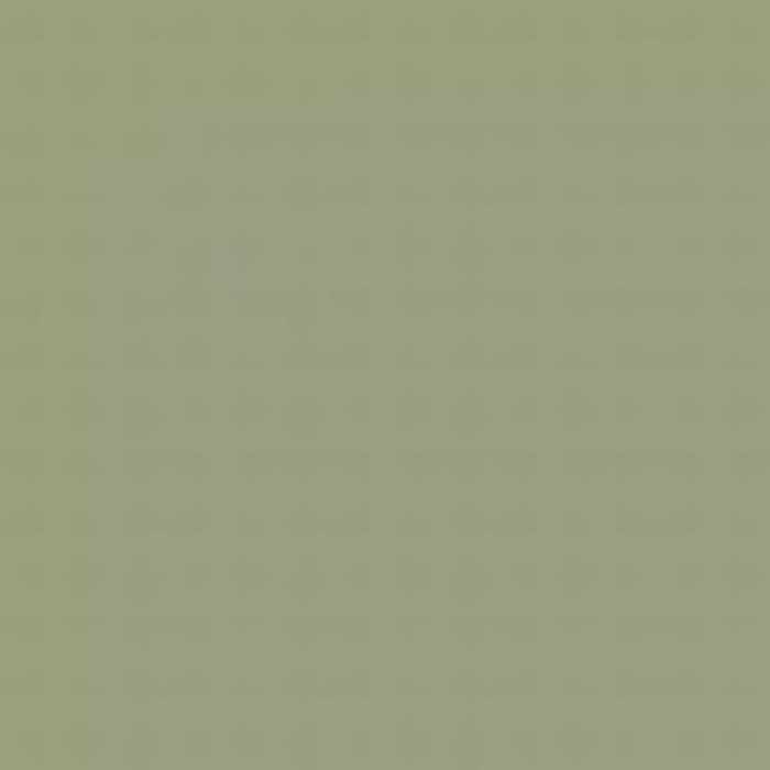 Grey Green FS 34424