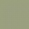 Grey Green FS 34424