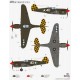 P-40F Warhawk Checkertails - 1/72 kit