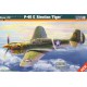 P-40E Aleutian Tiger - 1/72 kit