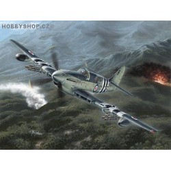 Fairey Firefly Mk.4/5 Korean War - 1/48 kit